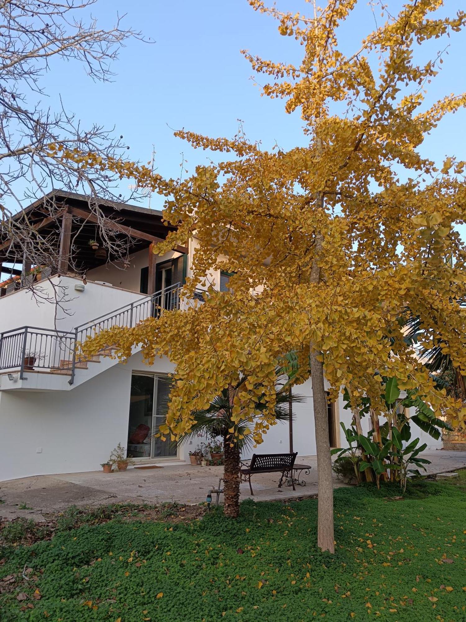 La Casa Del Noce Villa Ruffano Kültér fotó